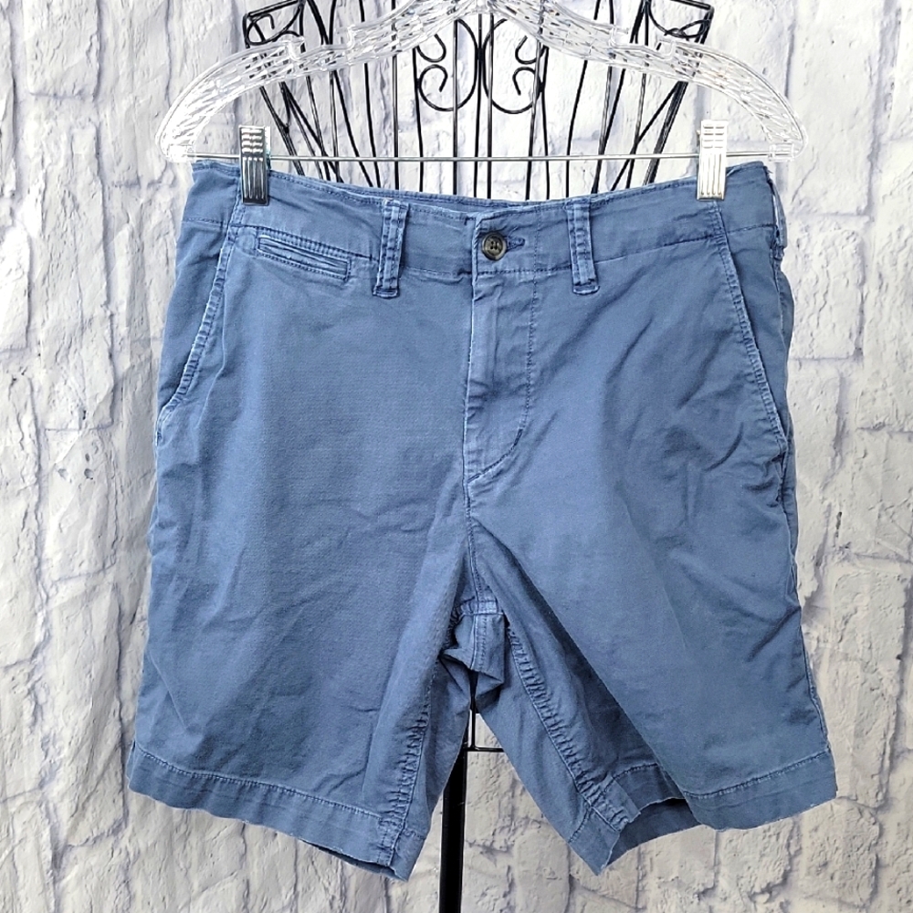 American Eagle Outfitters Blue Flat Front Men Shorts
